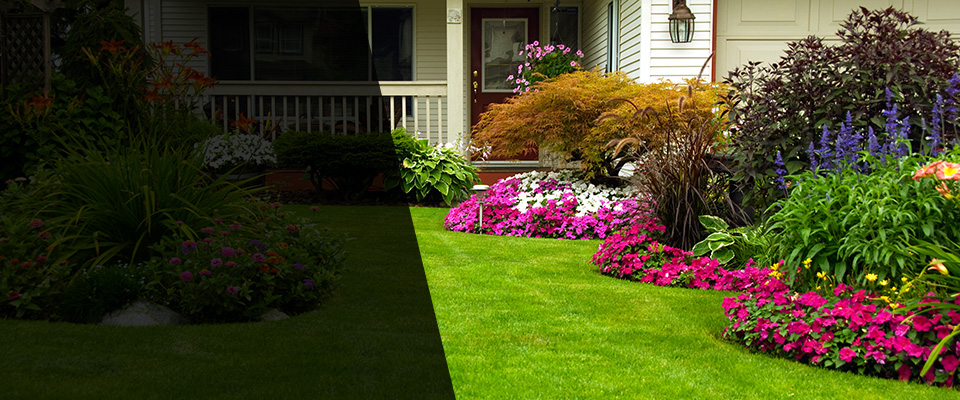Jenkins Landscapers